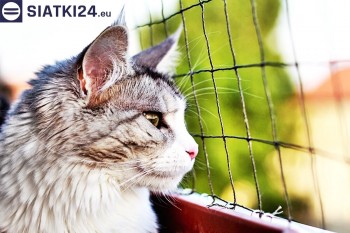 Siatki Biłgoraj - Siatka na balkony dla kota i zabezpieczenie dzieci dla terenów Biłgoraja